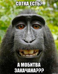 Сотка есть? А мобитва закачана???