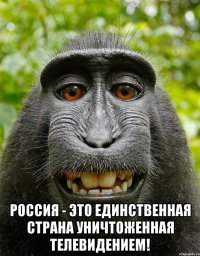  Россия - это единственная страна уничтоженная телевидением!