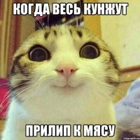 когда весь кунжут прилип к мясу