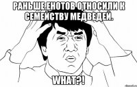 Раньше енотов относили к семейству медведей. WHAT?!