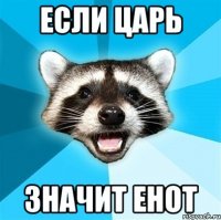 Если царь Значит енот