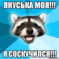 Януська моя!!! Я соскучился!!!