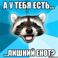 А у тебя есть... ...лишний енот?