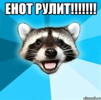 ЕНОТ РУЛИТ!!!!!!! 