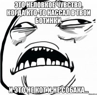 Это неловкое чувство, когда кто-то нассал в твои ботинки, и это не кот и не собака...