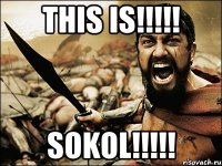 THIS IS!!!!! SOKOL!!!!!