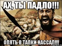 Ах, ты Падло!!! Опять в тапки нассал!!!