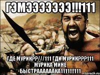 ГЭМЭЭЭЭЭЭЭ!!!111 ГДЕ МУРИК??///111 ГДИ МУРИК???111 МУРИКА МИНЕ БЫСТРААААААКА1111!!!111