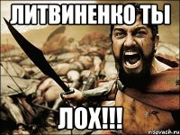 литвиненко ты лох!!!