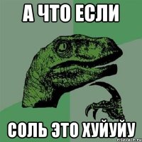 а что если соль это хуйуйу