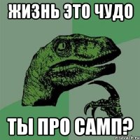 Жизнь это чудо Ты про самп?