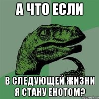 А что если В следующей жизни я стану енотом?