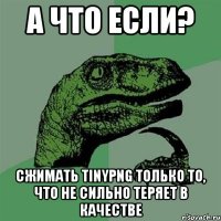 А что если? сжимать tinypng только то, что не сильно теряет в качестве