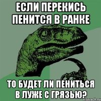 Если перекись пенится в ранке То будет ли пениться в луже с грязью?