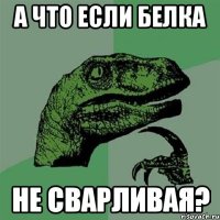 А что если белка Не сварливая?