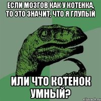 если мозгов как у котенка, то это значит, что я глупый или что котенок умный?