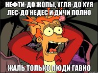 нефти-до жопы, угля-до xyя лес-до недес и дичи полно жаль только люди гавно