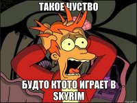 такое чуство будто ктото играет в SKYRIM