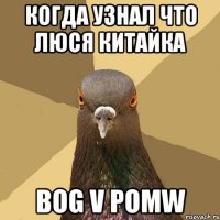 КОГДА УЗНАЛ ЧТО ЛЮСЯ КИТАЙКА BOG V POMW