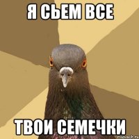 я сьем все твои семечки