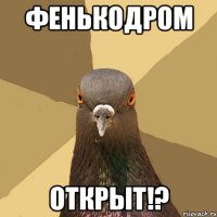 Фенькодром Открыт!?