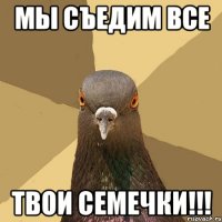 мы съедим все твои семечки!!!