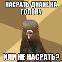 насрать диане на голову или не насрать?