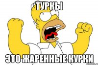 туркы это жаренные курки