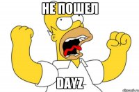 Не пошел DayZ