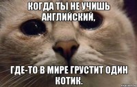 Когда ты не учишь английский, где-то в мире грустит один котик.