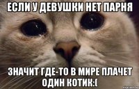 Если у девушки нет парня значит где-то в мире плачет один котик:(