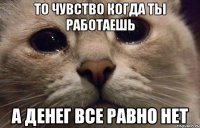 то чувство когда ты работаешь а денег все равно нет