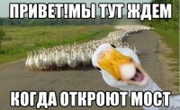 ПРИВЕТ!МЫ ТУТ ЖДЕМ КОГДА ОТКРОЮТ МОСТ