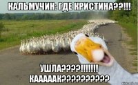 Кальмучин: Где Кристина??!!! Ушла????!!!!!!! Кааааак??????????