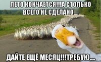 Лето кончается!!!а столько всего не сделано.... дайте ещё месяц!!!Требую....