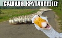 Сашуля, Крутая!!!!))))* 