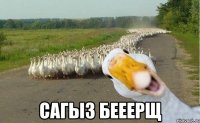  сагыз бееерщ