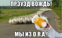 Прэуэд Вождь! Мы из D.R.A.!