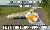 Отдам принты первым 5 человек где принты??????????