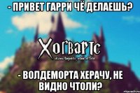 - Привет Гарри чё делаешь? - Волдеморта херачу, не видно чтоли?