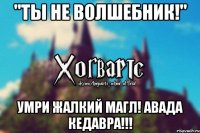 "ТЫ НЕ ВОЛШЕБНИК!" Умри жалкий магл! Авада Кедавра!!!