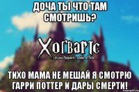 Доча ты что там смотришь? Тихо мама не мешай я смотрю Гарри Поттер и Дары смерти!