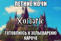 Летние Ночи Готовлюсь к зельевареню кароче