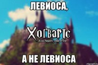 левиОса, а не левиосА