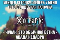 Увидел веточку - Теперь у меня есть волшебная палочка - Чувак, это обычная ветка - АВАДА КЕДАВРА