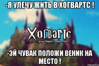 -Я улечу жить в Хогвартс ! -Эй чувак положи веник на место !