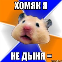 Хомяк я Не Дыня =