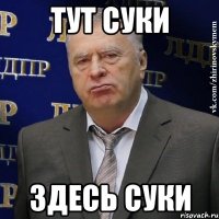 тут суки здесь суки