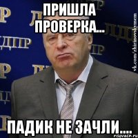 Пришла проверка... Падик не зачли....