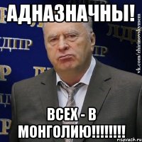 Адназначны! Всех - в Монголию!!!!!!!!